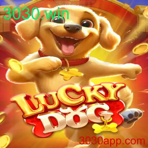 Explorando o Jogo LuckyDog: Regras e Estratégias em 3030.win